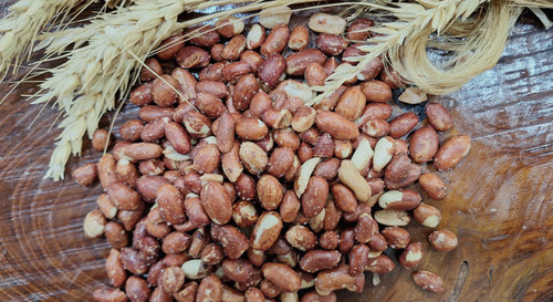 بادام کوهی شور 500 گرم