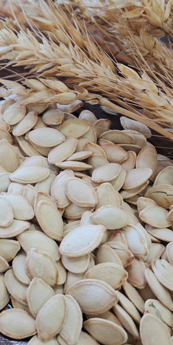 تخمه کدو گوشتی سفید 500 گرم