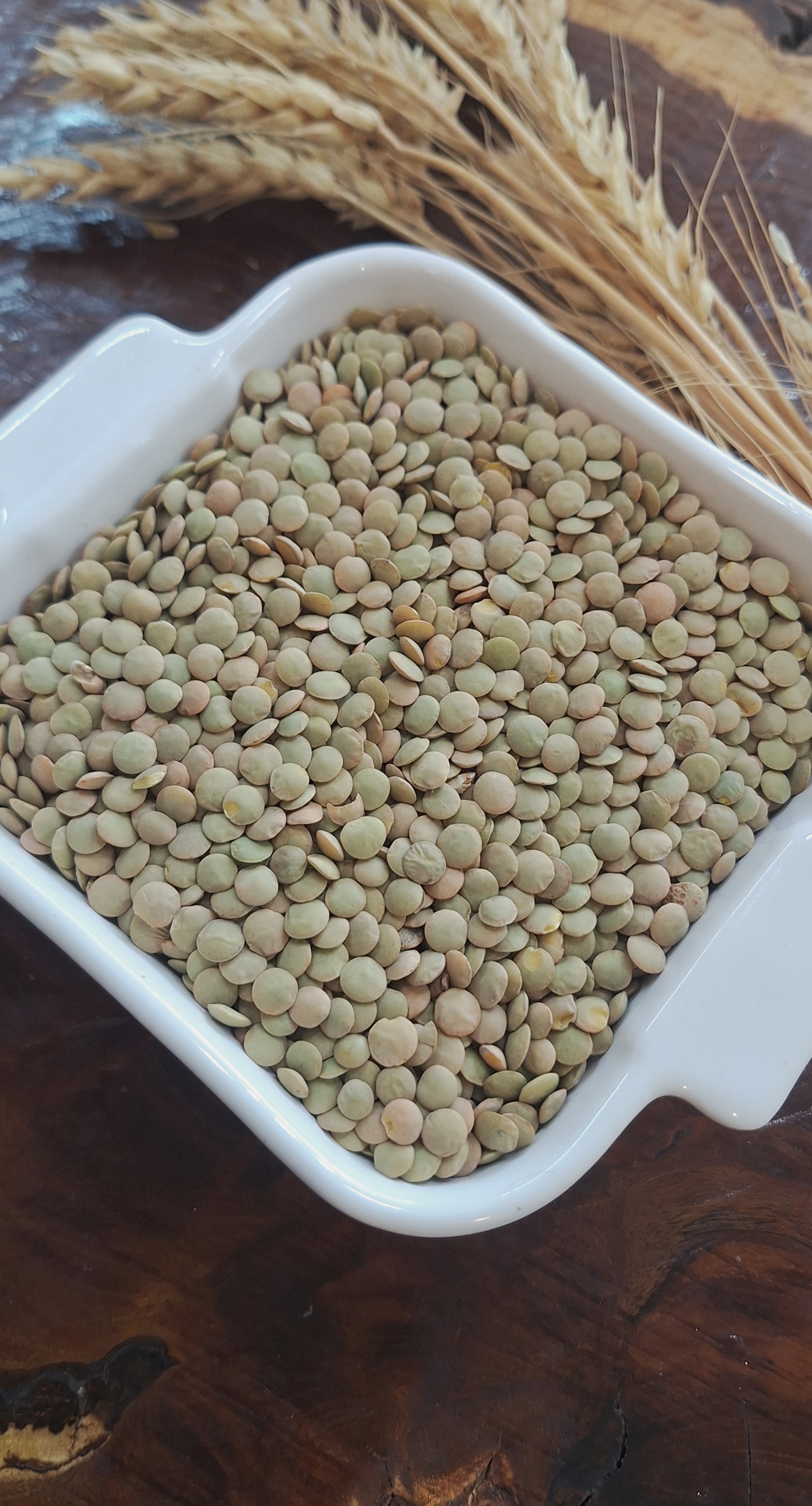 تصویر عدس درشت خارجی یک کیلو 