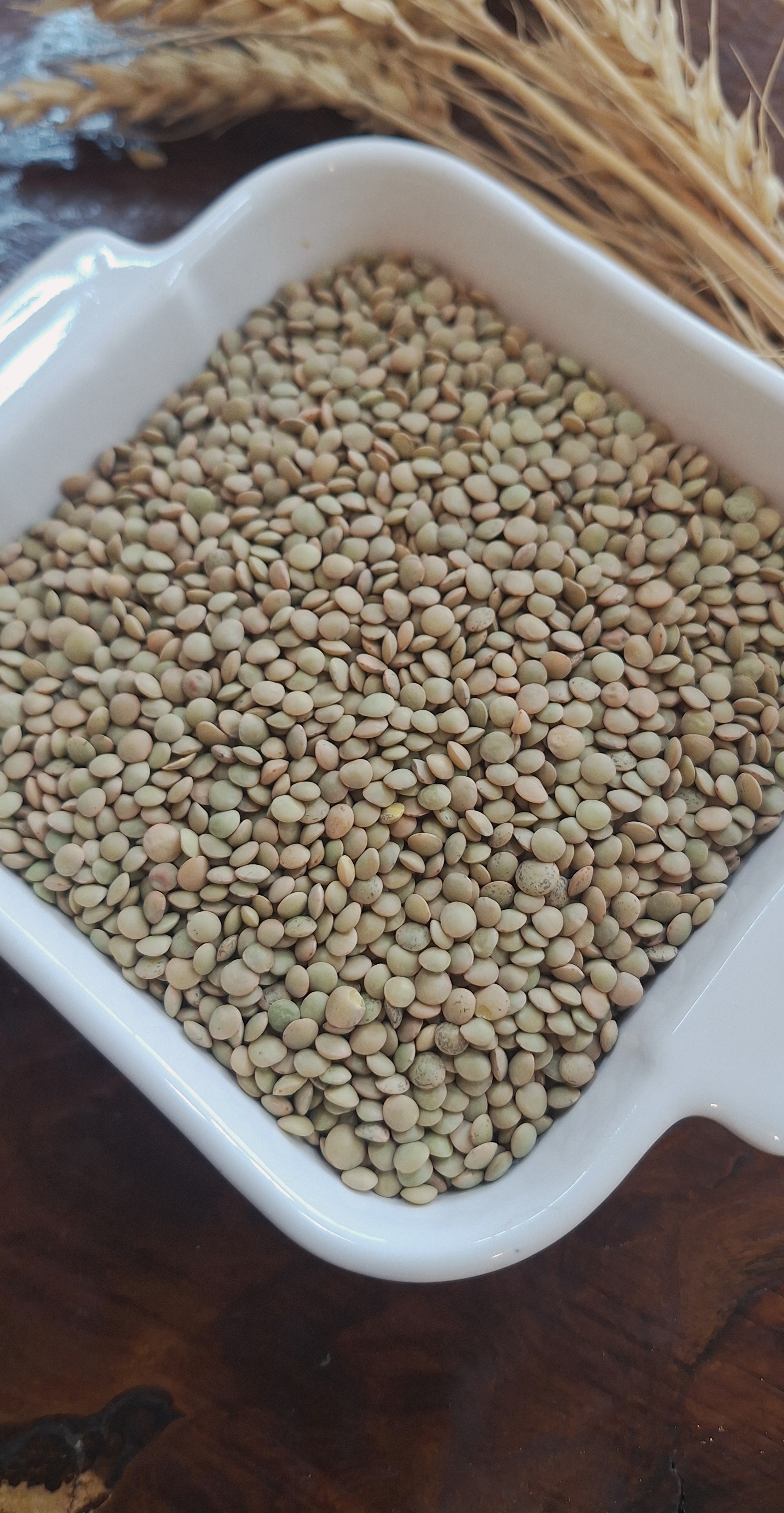 تصویر عدس ریز خارجی یک کیلو 