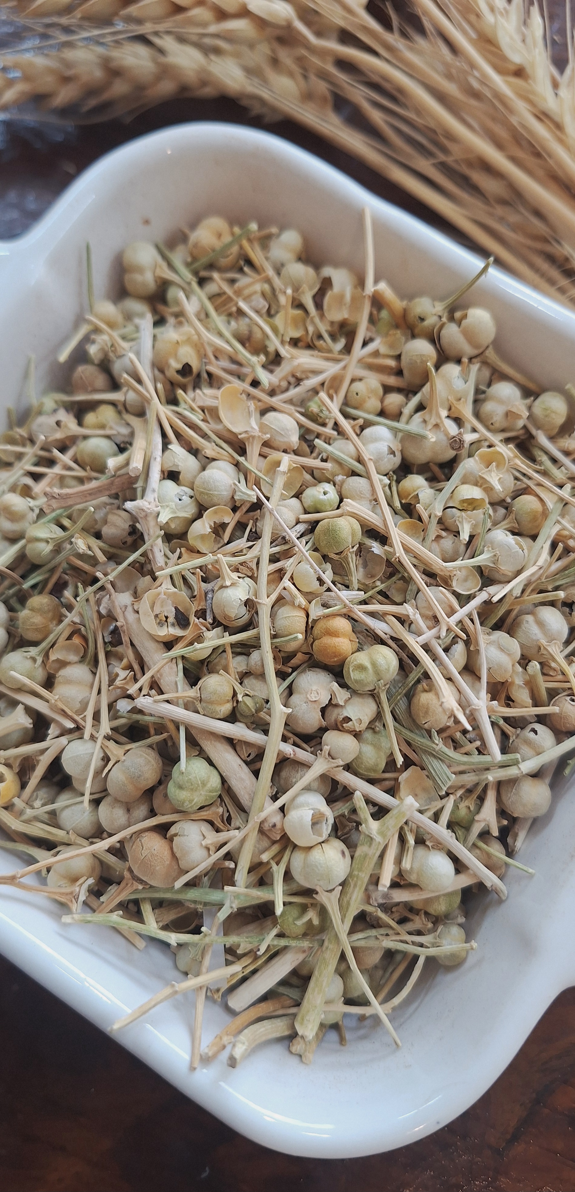 تصویر اسپند دون یک کیلو 